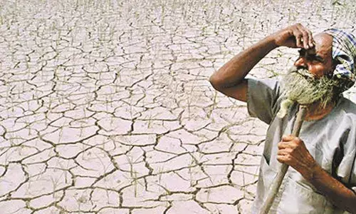 जिले के 16 मंडलों में पड़े अकाल पर अहम बैठक, उपाय पर तुरंत अमल करने का आदेश