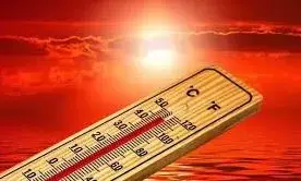 प्रदेश का सातवां सबसे गर्म जिला रहा सतना, राजस्थानी गर्म हवाएं बरसा रहीं आग