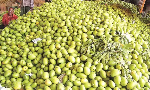 आमचोर गिरोह के 5 सदस्यों को पुलिस ने माल के साथ किया गिरफ्तार