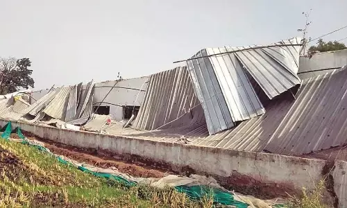 परेशानी का सबब - आंधी का कहर, उखड़े पेड़, पोल धराशायी, उड़े घरों के टीन शेड परेशानी का सबब - आंधी का कहर, उखड़े पेड़, पोल धराशायी, उड़े घरों के टीन शेड