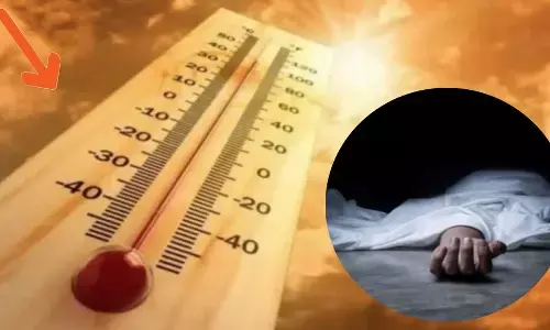 झुलसा रही गर्मी, अमरावती के राजुरा बाजार में लू लगने से बुजुर्ग की मृत्यु !