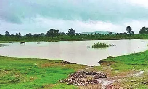 भीषण गर्मी से गोंदिया के मामा तालाबों का पानी सूखा , 25 फीसदी ही बचा