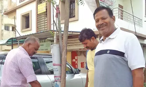 पीडब्ल्यूडी के लगाए पौधों का संवर्धन नहीं, बेसा-पिपला नपं  की जिम्मेदारी थी