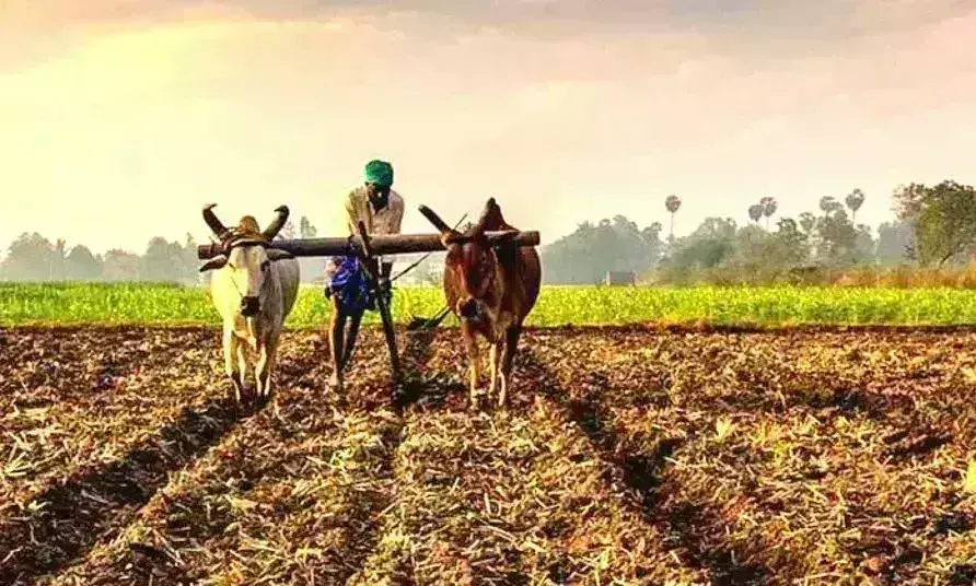 पांधन रास्ते किसानों से ज्यादा नेताओं के लिए हैं फायदेमंद, मंजूर किए 87 करोड़