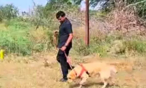 मशीन गन और जिंदा कारतूसों का मिला स्टॉक, मौके पर पहुंचा प्रशासनिक अमला