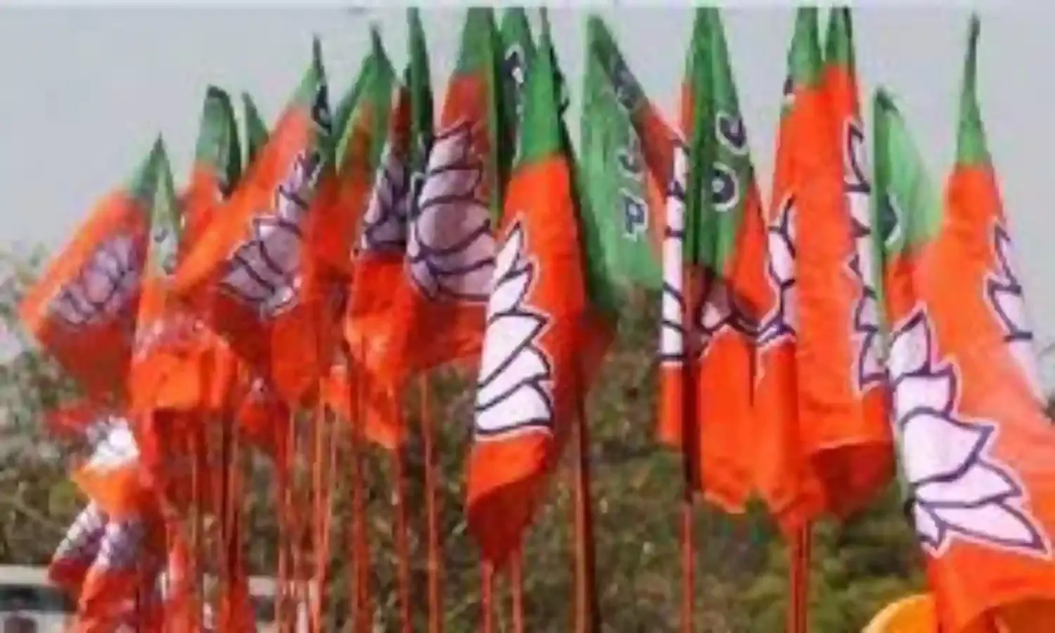स्नातक और शिक्षक निर्वाचन क्षेत्रों के लिए द्विवार्षिक चुनाव, 3 भाजपाई उम्मीदवारों के नाम घोषित