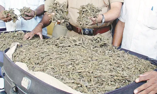 ट्रेन में लावारिस गांजा मिला , बी-2 कोच में लावारिस पड़ी थी ट्राली बैग ट्रेन में लावारिस गांजा मिला , बी-2 कोच में लावारिस पड़ी थी ट्राली बैग