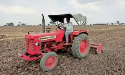 अमरावती में मानसून पूर्व बुआई की तैयारियों ने पकड़ी गति, जुटे किसान अमरावती में मानसून पूर्व बुआई की तैयारियों ने पकड़ी गति, जुटे किसान