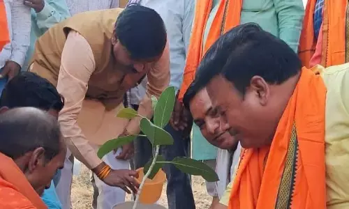 वर्षा ऋतु शुरू होने वाली है, धरती को बचाने के लिए पेड़-पौधे लगाना आवश्यक : राज्यमंत्री लोधी