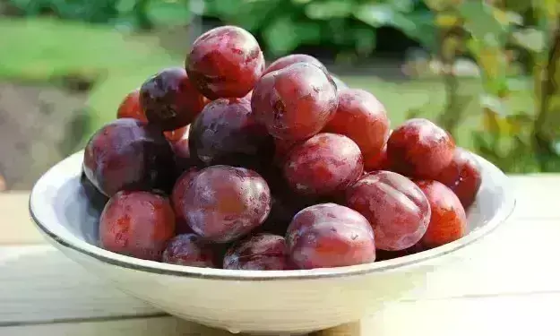 इस एक फल को खाने से मिलेगा दोहरा फायदा, इम्यूनिटी मजबूत करने के साथ वजन घटाने में मिलेगी मदद इस एक फल को खाने से मिलेगा दोहरा फायदा, इम्यूनिटी मजबूत करने के साथ वजन घटाने में मिलेगी मदद