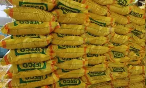 किसानों के पसंदीदा बीज ऊंचे दामों में बिक रहे,  आसमान छू रही महंगाई