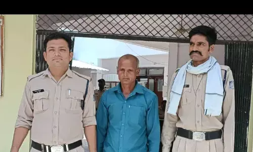 नौगवां में पकड़ी गई गांजा की खेती, दो दर्जन हरे पौधे जब्त, एनडीपीएस एक्ट के तहत अपराध दर्ज