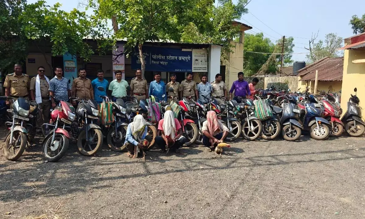 चंद्रपुर में मुर्गा बाजार से साढ़े 7 लाख का माल किया जब्त , 16 लोगों पर कार्रवाई