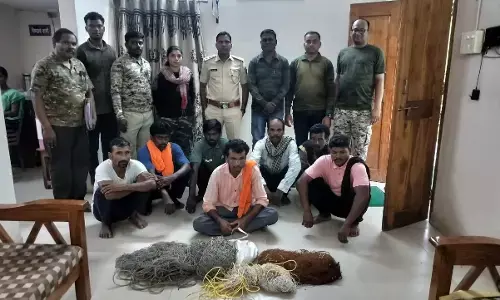 खरगोश का शिकार करने वाले 7 आरोपियों को वन-विभाग की टीम ने किया गिरफ्तार