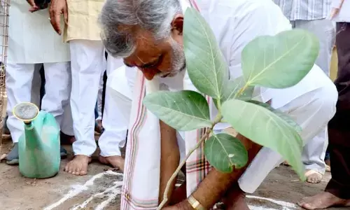 मंत्री पटेल के जल संरक्षण हेतु अथक प्रयास जारी, जल गंगा संवर्द्धन अभियान के तहत निरंतर कर रहे हैं वृक्षारोपण मंत्री पटेल के जल संरक्षण हेतु अथक प्रयास जारी, जल गंगा संवर्द्धन अभियान के तहत निरंतर कर रहे हैं वृक्षारोपण
