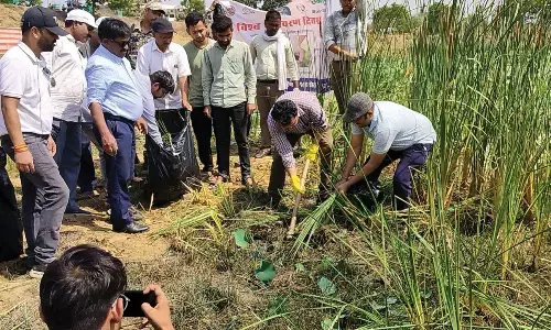 जिले की जल संरचनाओं को किया जाएगा अतिक्रमण मुक्त, पौधे रोपण कर कलेक्टर ने किया शुभारंभ