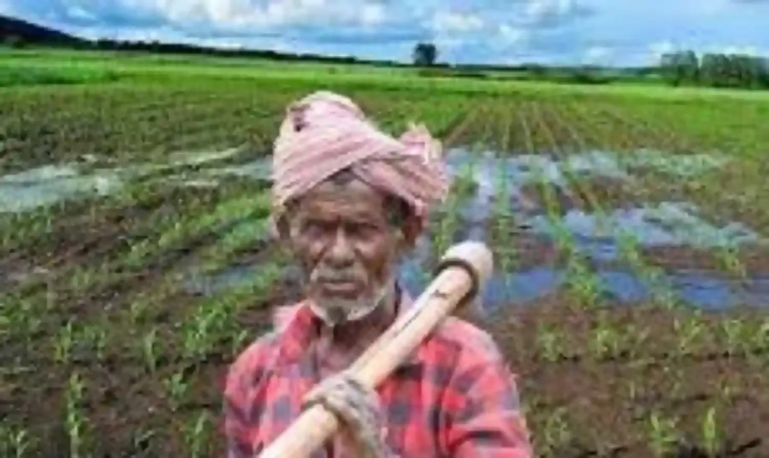 किसानों के कर्ज पुनर्गठन पर लगा ब्रेक, आरबीआई ने मांगी राज्य के फसल नुकसान की आणेवारी