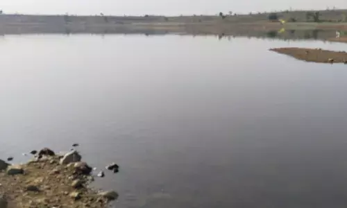 अमरावती के तालाबों से नहीं निकाला जा रहा गाद , मछुआरों पर भुखमरी की नौबत अमरावती के तालाबों से नहीं निकाला जा रहा गाद , मछुआरों पर भुखमरी की नौबत