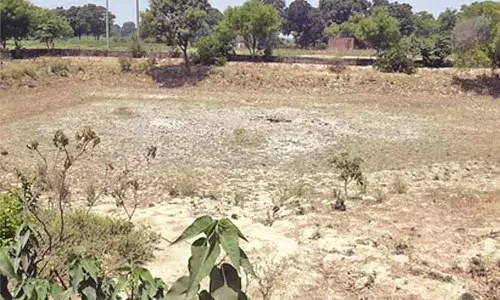 मौसम विभाग का यलो अलर्ट फेल, विदर्भ में सबसे ज्यादा तपा गोंदिया, राहत नहीं