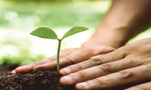 नगरीय क्षेत्रों में दो महीने तक चलाया जायेगा व्यापक पौधारोपण अभियान, 1.75 लाख पौधे लगाने का लक्ष्य