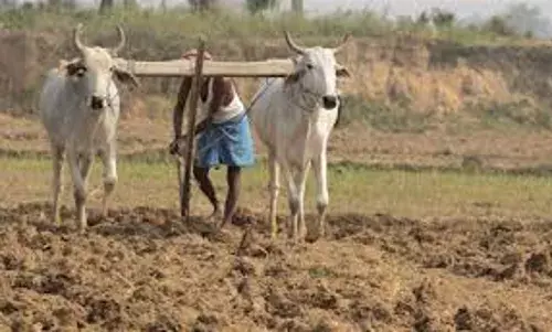 फसल कर्ज में राहत महसूस कर रहे किसानों को झटका, वसूली रोकी, पर ब्याज देना होगा फसल कर्ज में राहत महसूस कर रहे किसानों को झटका, वसूली रोकी, पर ब्याज देना होगा