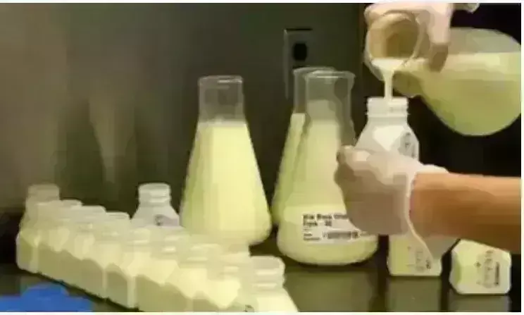 कैसे होगी कार्रवाई - 77 मिल्क प्रोडक्ट की सैंपल रिपोर्ट अभी तक नहीं आई कैसे होगी कार्रवाई - 77 मिल्क प्रोडक्ट की सैंपल रिपोर्ट अभी तक नहीं आई