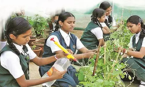 मिड-डे मिल में मिलेंगी स्कूल के उद्यान में उगाई गईं सब्जियां, होगा बौद्धिक विकास