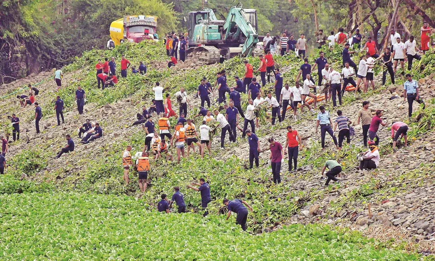 अंबाझरी सफाई अभियान - पानी पर फैली जलकुंभी हटाने एकजुट हुए सैकड़ों हाथ