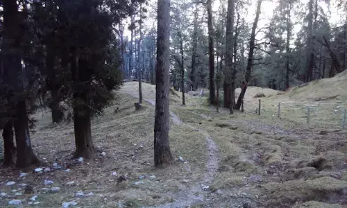 देवी जी पहाड़ी में मिले 2 पुरुष और 1 महिला के शव