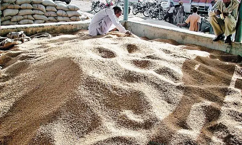 वेयर हाउस के किरायानामा में नाम मौजूद, जाँच दल ने हटाया, करोड़ों के हेरफेर को दबाने की कोशिश