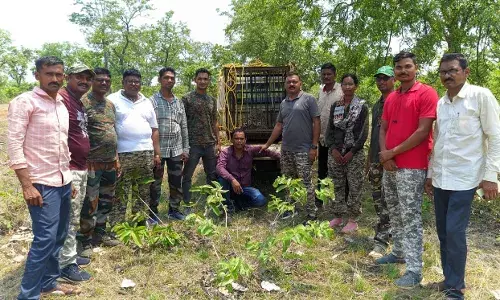मुर्गियों का शिकार करने आया और कुएं में गिर पड़ा तेंदुआ,  रेस्क्यू कर निकालना पड़ा