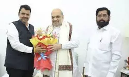 भाजपा नेतृत्व मराठा मुद्दा ठीक से नहीं संभालने से नाखुश, नेताओं को दी हिदायत