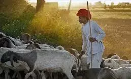 मुंबई-ठाणे-पुणे-नागपुर में पढ़ाई के लिए धनगर विद्यार्थियों को मिलेंगे 60 हजार रुपए