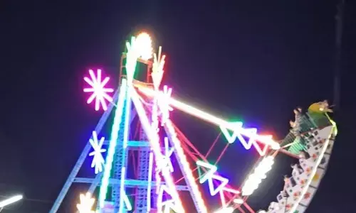 ड्रेगन झूले से गिरकर मौत... प्रदर्शनी मैनेजर समेत तीन के खिलाफ केस दर्ज