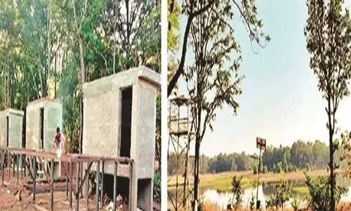 विदर्भ को मिली ईको टूरिज्म के लिए विकसित नई मोगरकसा जंगल सफारी