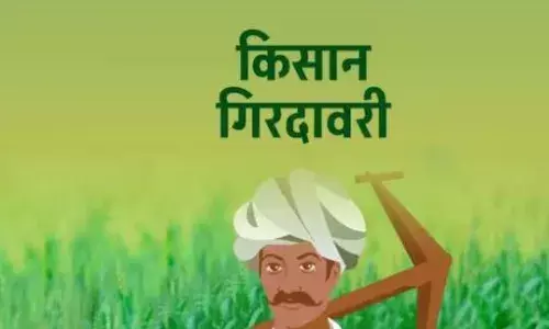 पन्ना जिले में गिरदावरी में घोर लापरवाही, निर्धारित समय में पूर्ण नहीं हुई गिरदावरी, किसानों के लिए खडा हुआ संकट