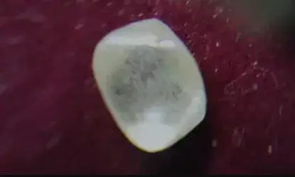 गरीब किसान की चमकी किस्मत, मिला 6.65 कैरेट का हीरा गरीब किसान की चमकी किस्मत, मिला 6.65 कैरेट का हीरा