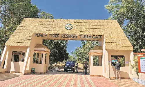 1 जुलाई से जंगल सफारी बंद, वर्षाकाल के दौरान 3 माह तक पर्यटन पर ब्रेक