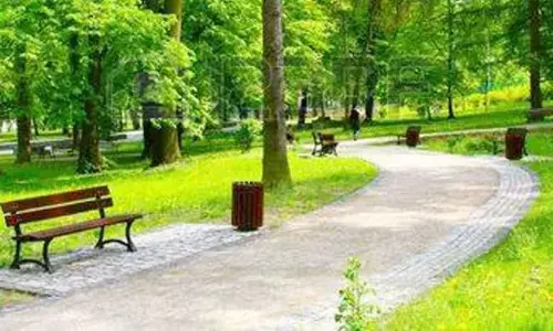 नया फार्मूला - नागपुर मनपा बनाएगी उद्यान मित्र, देखभाल और मेंटेनेंस पर रखेंगे नजर नया फार्मूला - नागपुर मनपा बनाएगी उद्यान मित्र, देखभाल और मेंटेनेंस पर रखेंगे नजर