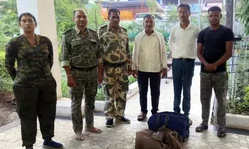 गड़चिरोली में कछुआ तस्करी का पर्दाफाश , भरी बैग छोड़कर भागे तस्कर गड़चिरोली में कछुआ तस्करी का पर्दाफाश , भरी बैग छोड़कर भागे तस्कर