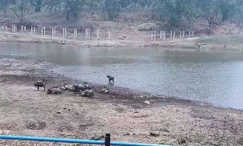 चिखलदरा में फैलीं संक्रामक बीमारियां , दूषित पेयजल से डायरिया, टाइफाइड हो रहा चिखलदरा में फैलीं संक्रामक बीमारियां , दूषित पेयजल से डायरिया, टाइफाइड हो रहा