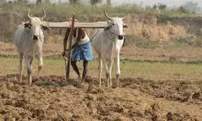 अमरावती जिले में 43 हजार किसानों पर है 88.62 करोड़ का साहूकारी कर्ज