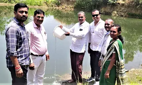 मच्छरों के उत्पत्ति स्थलों पर गप्पी मछलियां छोड़ने के लिए जिला प्रशासन चलाएगा विशेष अभियान