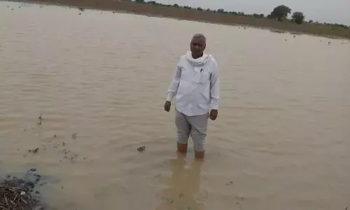 पानी की निकासी के लिए नहीं बनाईं नालियां , जलजमाव से खेत बन गए तालाब पानी की निकासी के लिए नहीं बनाईं नालियां , जलजमाव से खेत बन गए तालाब