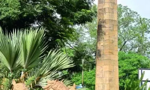 अब जीरो माइल पर नहीं होंगे सामाजिक राजनीतिक कार्यक्रम , हाई कोर्ट का आदेश अब जीरो माइल पर नहीं होंगे सामाजिक राजनीतिक कार्यक्रम , हाई कोर्ट का आदेश