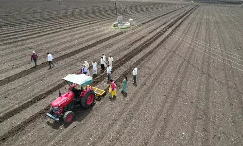 अमरावती में 60 फीसदी बुआई निपटी , किसानों पर दोबारा का संकट नहीं अमरावती में 60 फीसदी बुआई निपटी , किसानों पर दोबारा का संकट नहीं