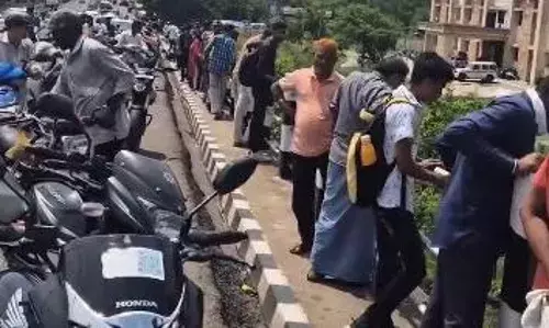 कृषि कार्यालय परिसर में बाघ का मुक्त संचार , राहगीरों की लगी भीड़