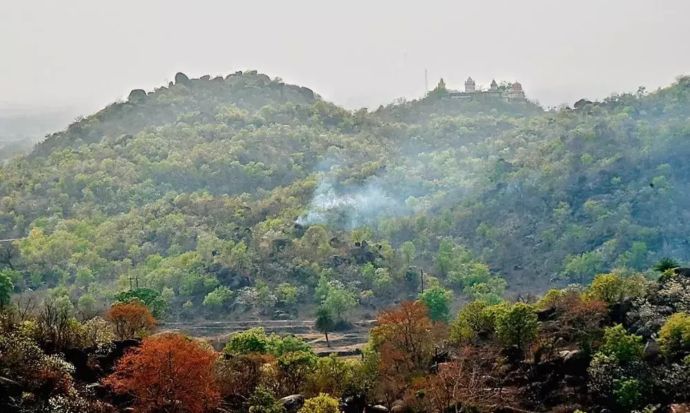मदन महल पहाड़ी पर 10 हेक्टेयर भूमि रानी दुर्गावती स्मारक और उद्यान के लिए आवंटित