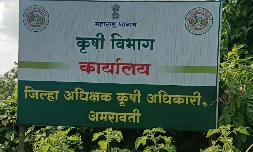अमरावती जिले में 2200 हेक्टेयर में फलों के बागों का लक्ष्य, खेती कार्य में जुटे किसान