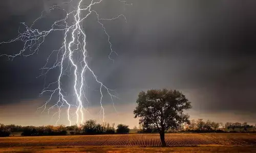 बिहार में आकाशीय बिजली बनी काल, चपेट में आए 10 लोगों की मौत, सीएम ने किया मुआवजे का ऐलान बिहार में आकाशीय बिजली बनी काल, चपेट में आए 10 लोगों की मौत, सीएम ने किया मुआवजे का ऐलान